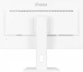 IIYAMA Monitor 27 cali XUB2797QSN-W1 IPS,QHD,USB-c Dock 65W,HDMI, WHITE