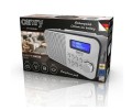 Camry Radiobudzik DAB CR1179